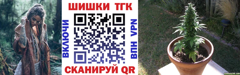 Шишки марихуана планчик  где можно купить   Истра 
